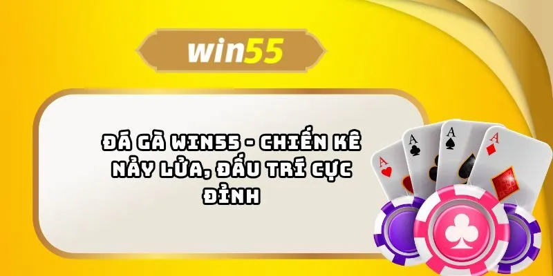 Trải nghiệm đá gà đỉnh cao chỉ có tại nền tảng