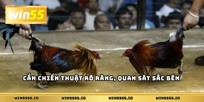 Nền tảng mang đến lợi thế vượt trội mà hiếm nơi nào sánh kịp