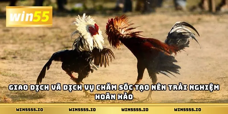 Giao dịch và dịch vụ chăm sóc tạo nên trải nghiệm hoàn hảo